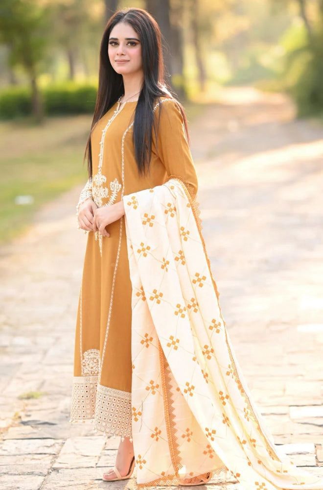 Dhanak 3Pc Embroidered Winter's Hot Collection